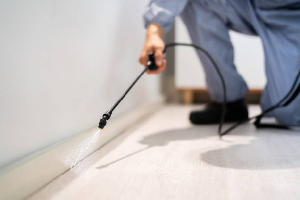 Licensed Mosquito Control service in Idalou, TX - Show Me Pest Control