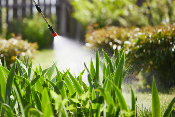 24/7 Emergency Mosquito Control experts in Idalou, TX