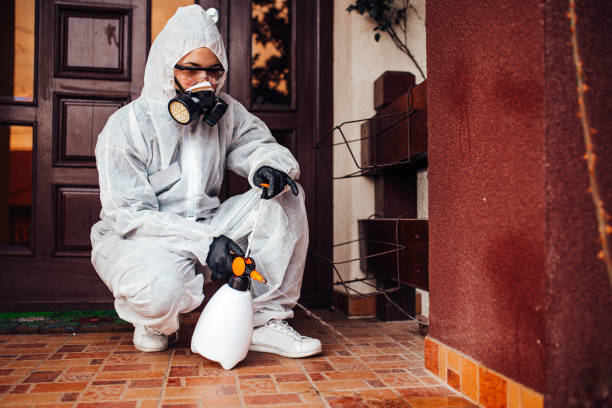 Reliable Mosquito Control contractor in Idalou, TX by Show Me Pest Control